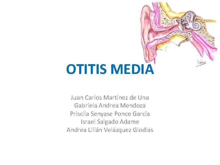 OTITIS MEDIA Juan Carlos Martínez de Una Gabriela Andrea Mendoza Priscila Senyase Ponce García