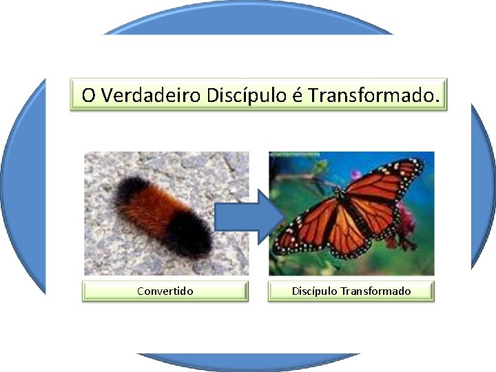  O Verdadeiro Discípulo é Transformado. Convertido Discípulo Transformado 