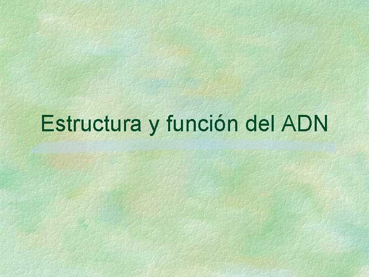 Estructura y función del ADN Estructura y función del ADN