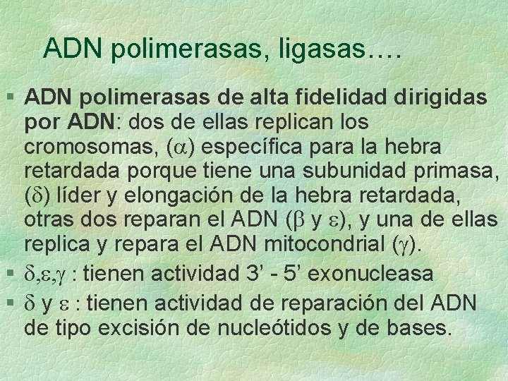 ADN polimerasas, ligasas…. § ADN polimerasas de alta fidelidad dirigidas por ADN: dos de ADN polimerasas, ligasas…. § ADN polimerasas de alta fidelidad dirigidas por ADN: dos de