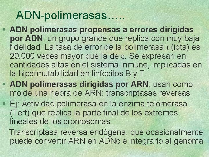 ADN-polimerasas…. . § ADN polimerasas propensas a errores dirigidas por ADN: un grupo grande ADN-polimerasas…. . § ADN polimerasas propensas a errores dirigidas por ADN: un grupo grande