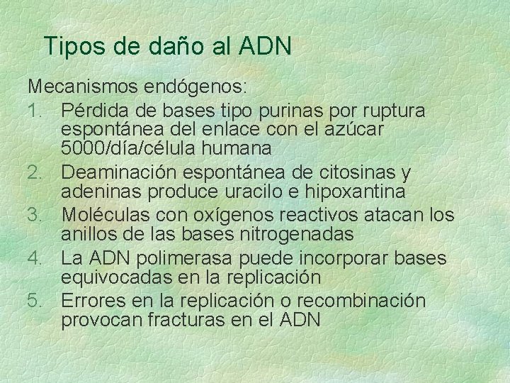 Tipos de daño al ADN Mecanismos endógenos: 1. Pérdida de bases tipo purinas por Tipos de daño al ADN Mecanismos endógenos: 1. Pérdida de bases tipo purinas por