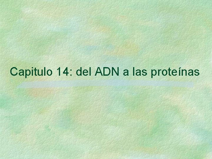 Capitulo 14: del ADN a las proteínas Capitulo 14: del ADN a las proteínas