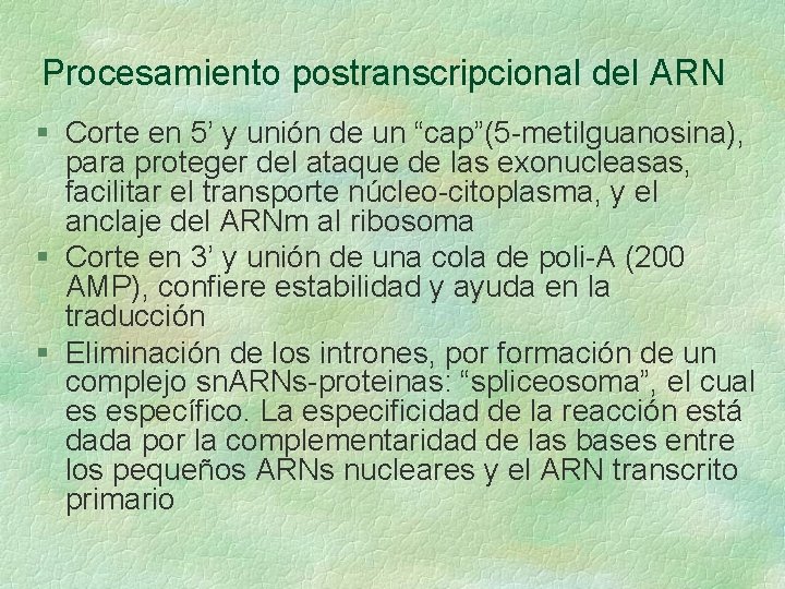 Procesamiento postranscripcional del ARN § Corte en 5’ y unión de un “cap”(5 -metilguanosina), Procesamiento postranscripcional del ARN § Corte en 5’ y unión de un “cap”(5 -metilguanosina),