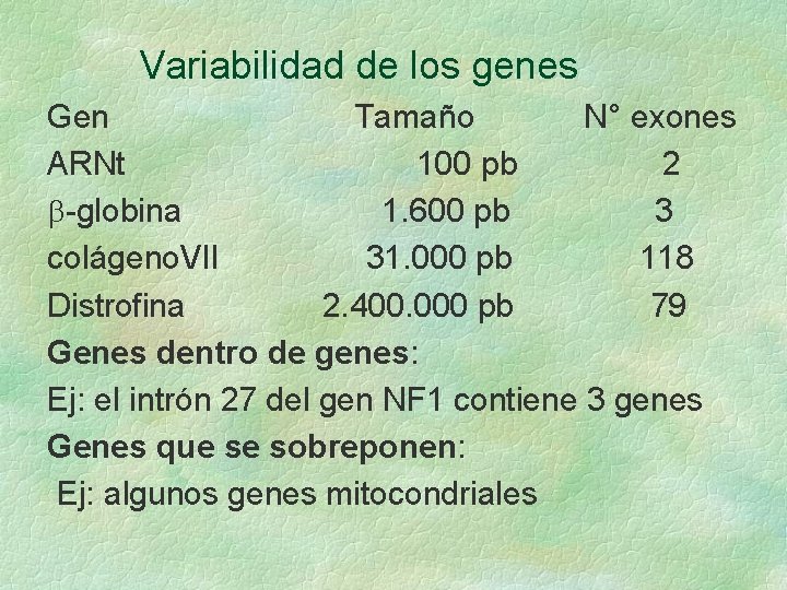Variabilidad de los genes Gen Tamaño N° exones ARNt 100 pb 2 b-globina 1. Variabilidad de los genes Gen Tamaño N° exones ARNt 100 pb 2 b-globina 1.