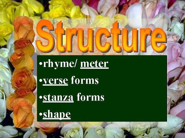  • rhyme/ meter • verse forms • stanza forms • shape 