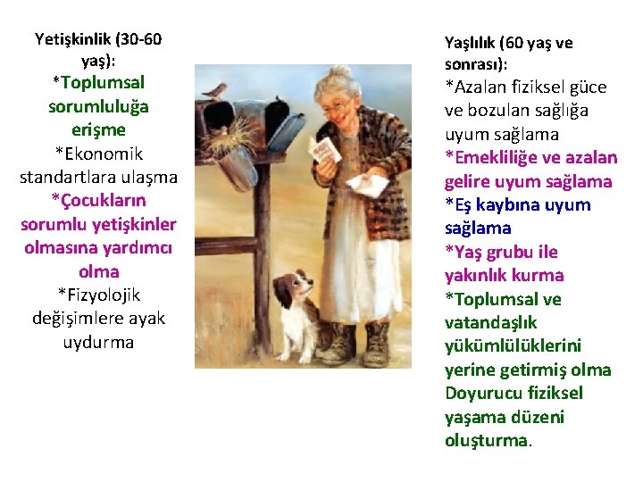 Yetişkinlik (30 60 yaş): *Toplumsal sorumluluğa erişme *Ekonomik standartlara ulaşma *Çocukların sorumlu yetişkinler olmasına