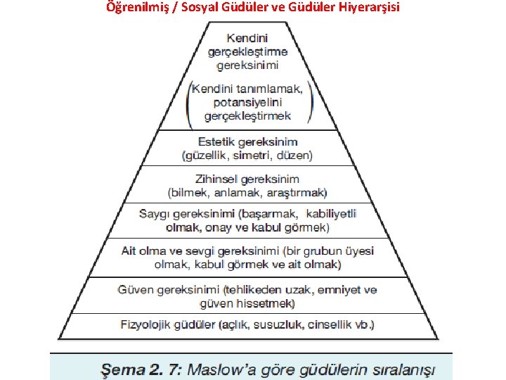 Öğrenilmiş / Sosyal Güdüler ve Güdüler Hiyerarşisi 