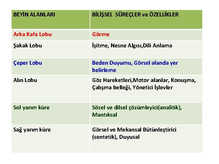 BEYİN ALANLARI BİLİŞSEL SÜREÇLER ve ÖZELLİKLER Arka Kafa Lobu Görme Şakak Lobu İşitme, Nesne