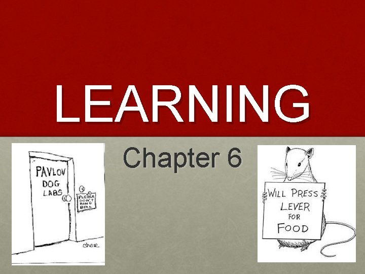 LEARNING Chapter 6 