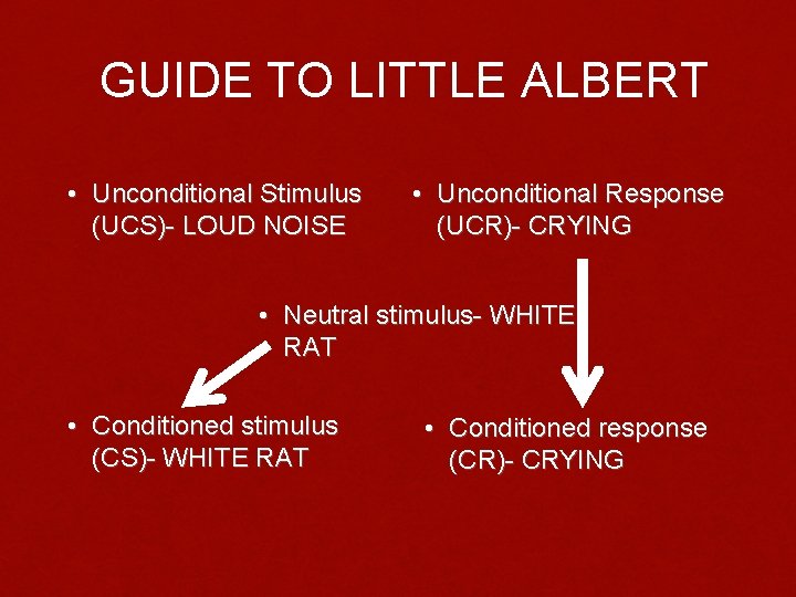 GUIDE TO LITTLE ALBERT • Unconditional Stimulus (UCS)- LOUD NOISE • Unconditional Response (UCR)-