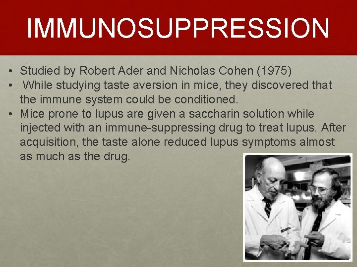 IMMUNOSUPPRESSION • Studied by Robert Ader and Nicholas Cohen (1975) • While studying taste