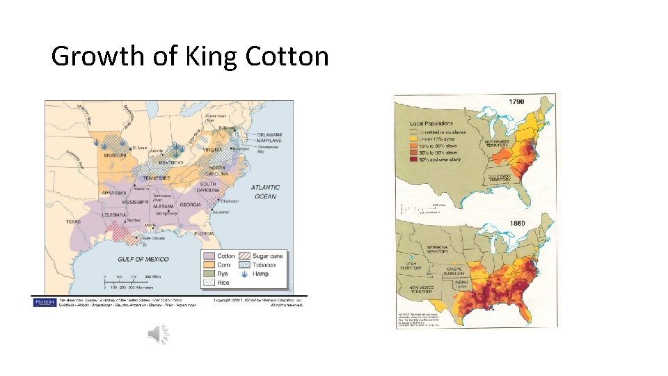 Growth of King Cotton 