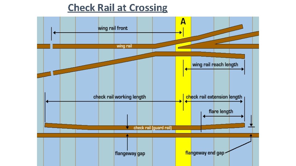 Check Rail at Crossing 