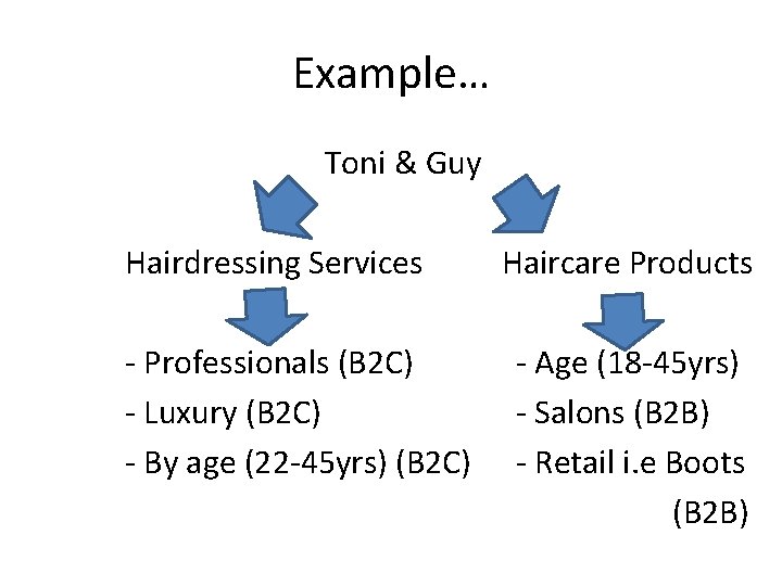 Example… Toni & Guy Hairdressing Services Haircare Products - Professionals (B 2 C) -