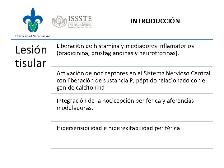 INTRODUCCIÓN Lesión tisular Liberación de histamina y mediadores inflamatorios (bradicinina, prostaglandinas y neurotrofinas). Activación