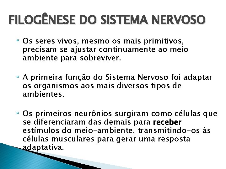 FILOGÊNESE DO SISTEMA NERVOSO Os seres vivos, mesmo os mais primitivos, precisam se ajustar