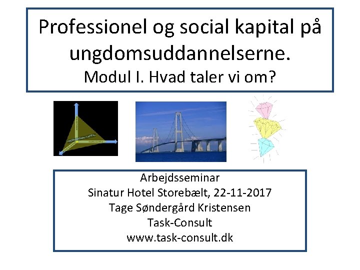 Professionel og social kapital på ungdomsuddannelserne. Modul I. Hvad taler vi om? Arbejdsseminar Sinatur