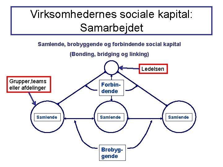 Virksomhedernes sociale kapital: Samarbejdet Samlende, brobyggende og forbindende social kapital (Bonding, bridging og linking)