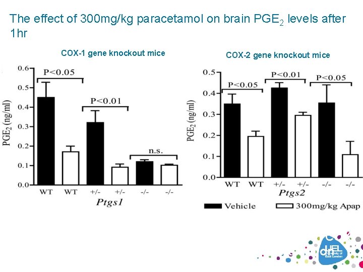 The effect of 300 mg/kg paracetamol on brain PGE 2 levels after 1 hr