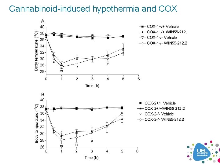 Cannabinoid-induced hypothermia and COX 