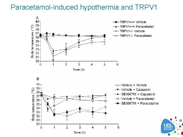 Paracetamol-induced hypothermia and TRPV 1 