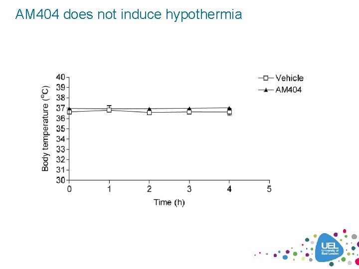 AM 404 does not induce hypothermia 