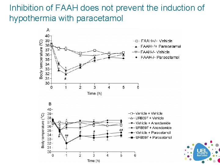 Inhibition of FAAH does not prevent the induction of hypothermia with paracetamol 