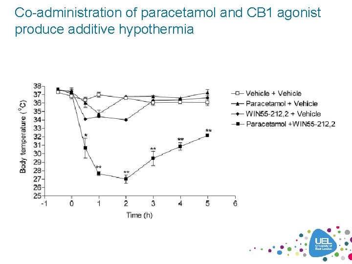 Co-administration of paracetamol and CB 1 agonist produce additive hypothermia 