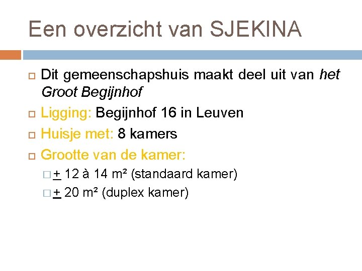 Een overzicht van SJEKINA Dit gemeenschapshuis maakt deel uit van het Groot Begijnhof Ligging: