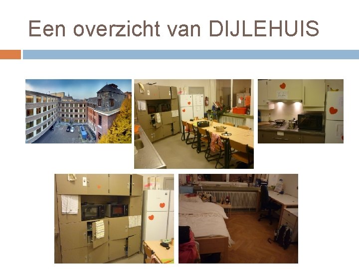 Een overzicht van DIJLEHUIS 