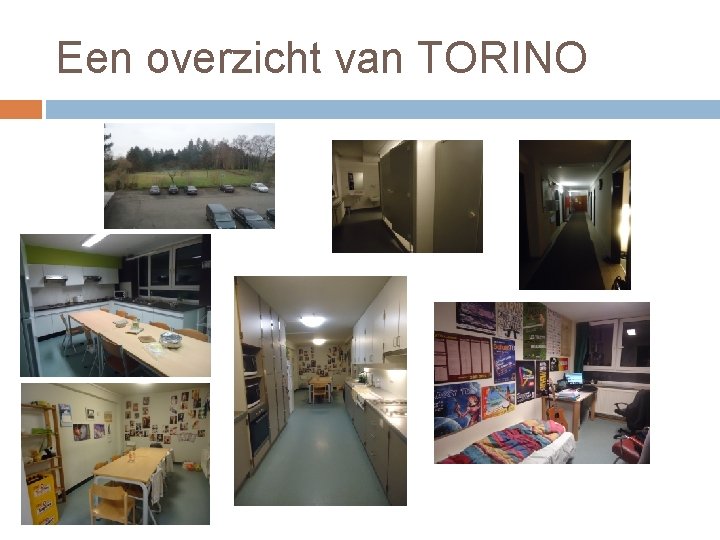 Een overzicht van TORINO 