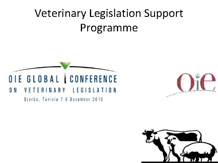 Veterinary Legislation Support Programme 