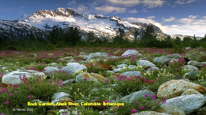 Rock Garden, Alsek River, Columbie Britanique 28 février 2021 