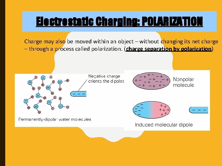 Electrostatic Charging: POLARIZATION Charge may also be moved within an object – without changing
