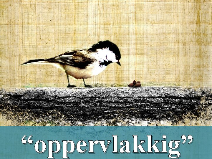 “oppervlakkig” 