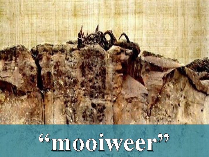 “mooiweer” 