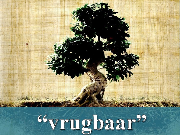 “vrugbaar” 