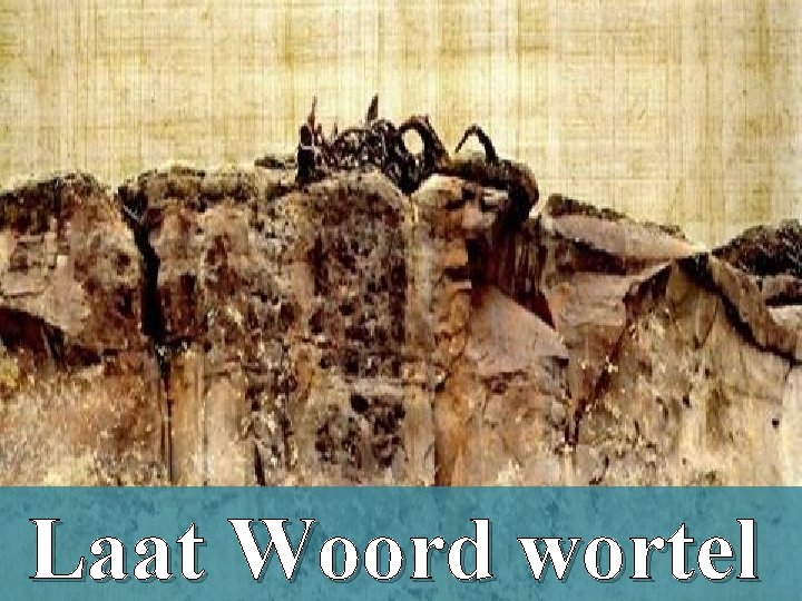 Laat Woord wortel 