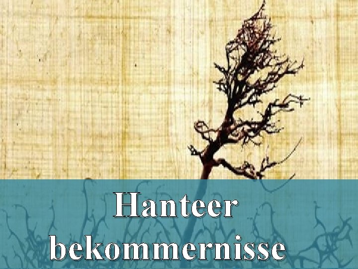 God nooi ons uit en ons kom tot rus Hanteer bekommernisse 