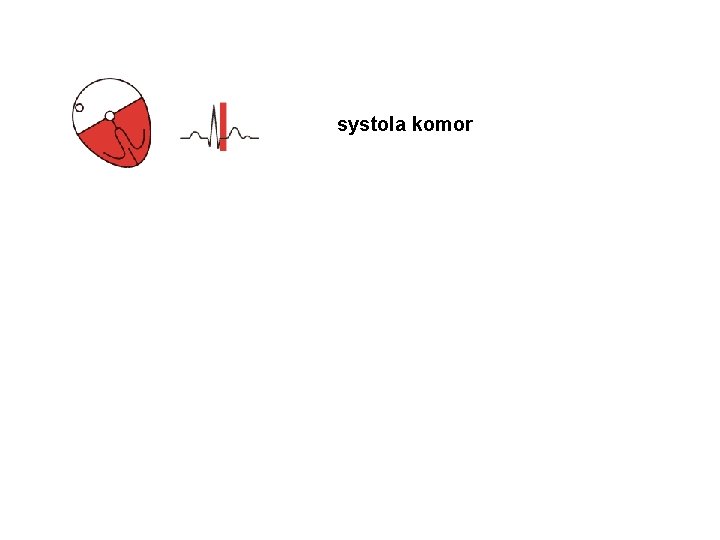 systola komor 