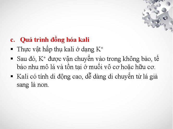 c. Quá trình đồng hóa kali § Thực vật hấp thụ kali ở dạng