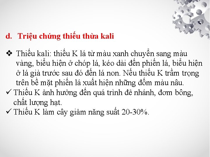 d. Triệu chứng thiếu thừa kali v Thiếu kali: thiếu K lá từ màu