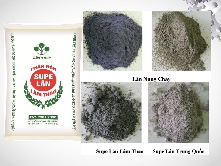 Ứng dụng phân bón P • Phân lân tự nhiên Apatit nghiền: có công