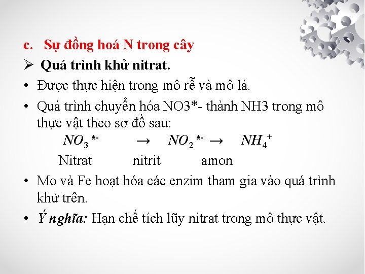 c. Sự đồng hoá N trong cây Ø Quá trình khử nitrat. • Được