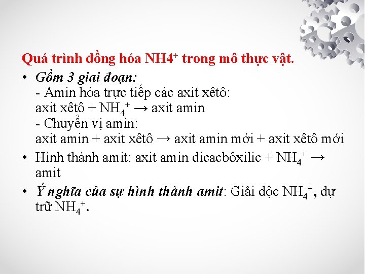 Quá trình đồng hóa NH 4+ trong mô thực vật. • Gồm 3 giai