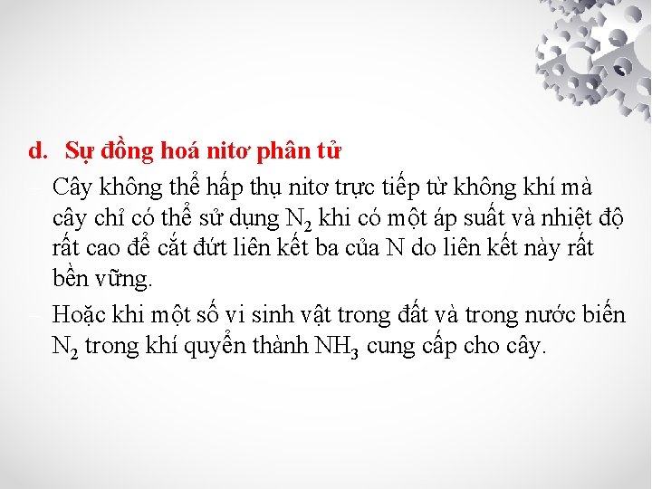 d. Sự đồng hoá nitơ phân tử – Cây không thể hấp thụ nitơ