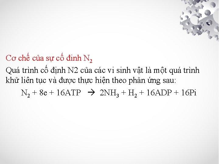 Cơ chế của sự cố đinh N 2 Quá trình cố định N 2