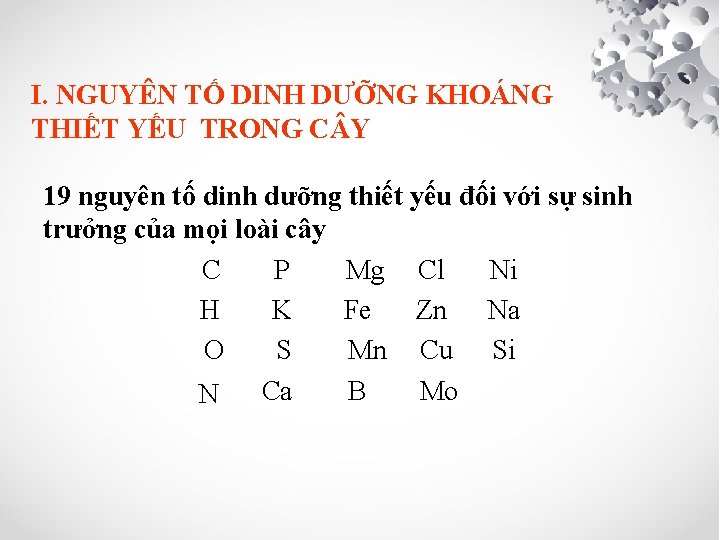 I. NGUYÊN TỐ DINH DƯỠNG KHOÁNG THIẾT YẾU TRONG C Y 19 nguyên tố