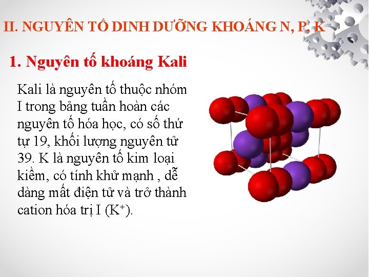 II. NGUYÊN TỐ DINH DƯỠNG KHOÁNG N, P, K 1. Nguyên tố khoáng Kali